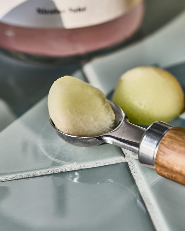 Melon concha, Natural Nicolas Vahé