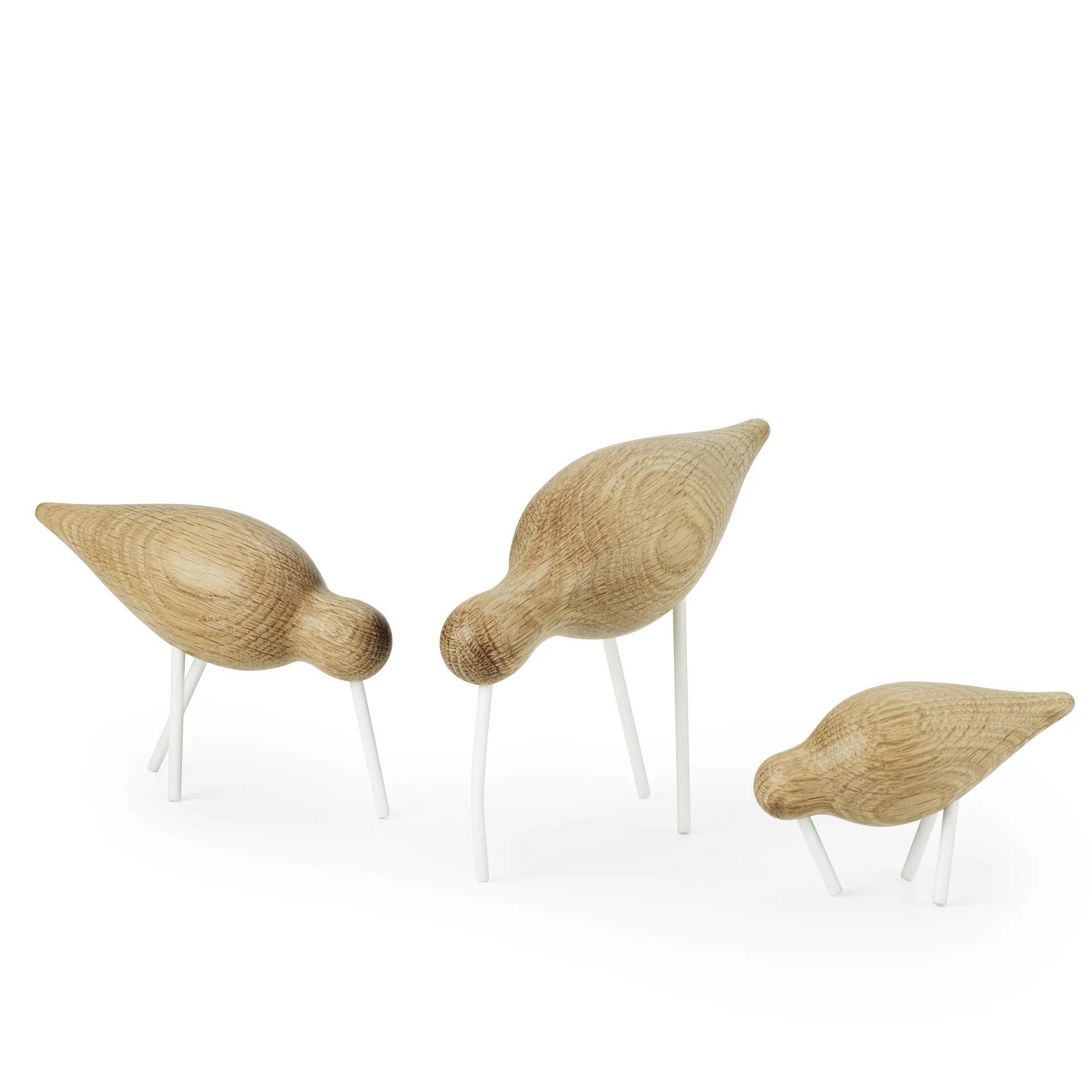 Shorebird carvalho-branco , pequeno Normann Copenhagen