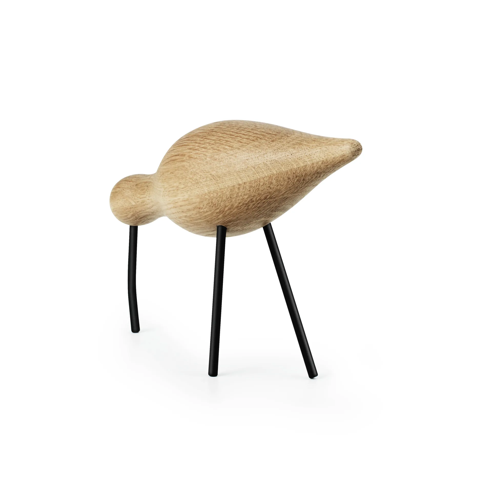 Shorebird carvalho-preto, grande Normann Copenhagen