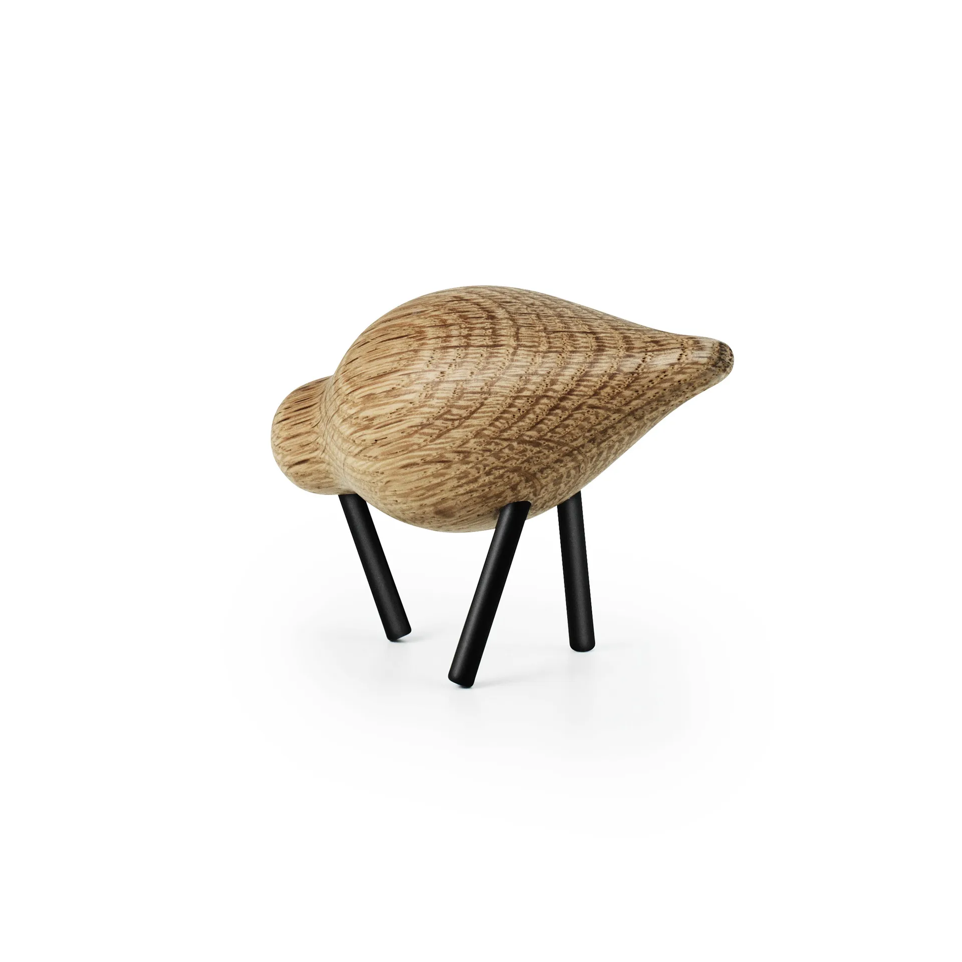 Shorebird carvalho-preto, pequeno Normann Copenhagen