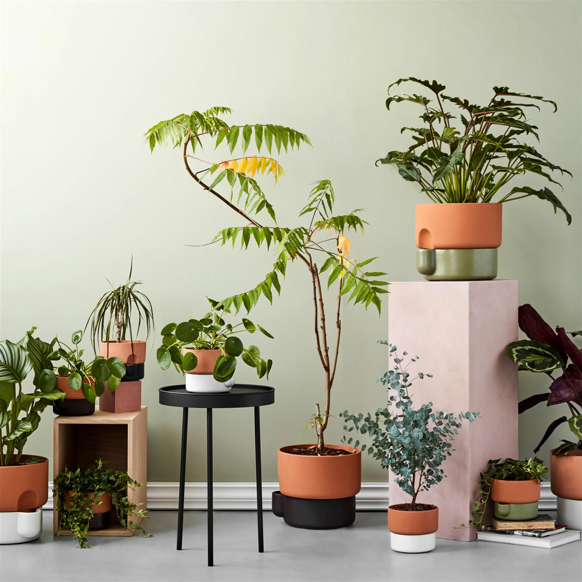 Vaso de flores pequeno com auto-irrigação Oasis, verde Northern