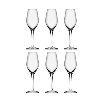 Sense Taça de champanhe 25.5 cl 6-pack - Transparente - Orrefors