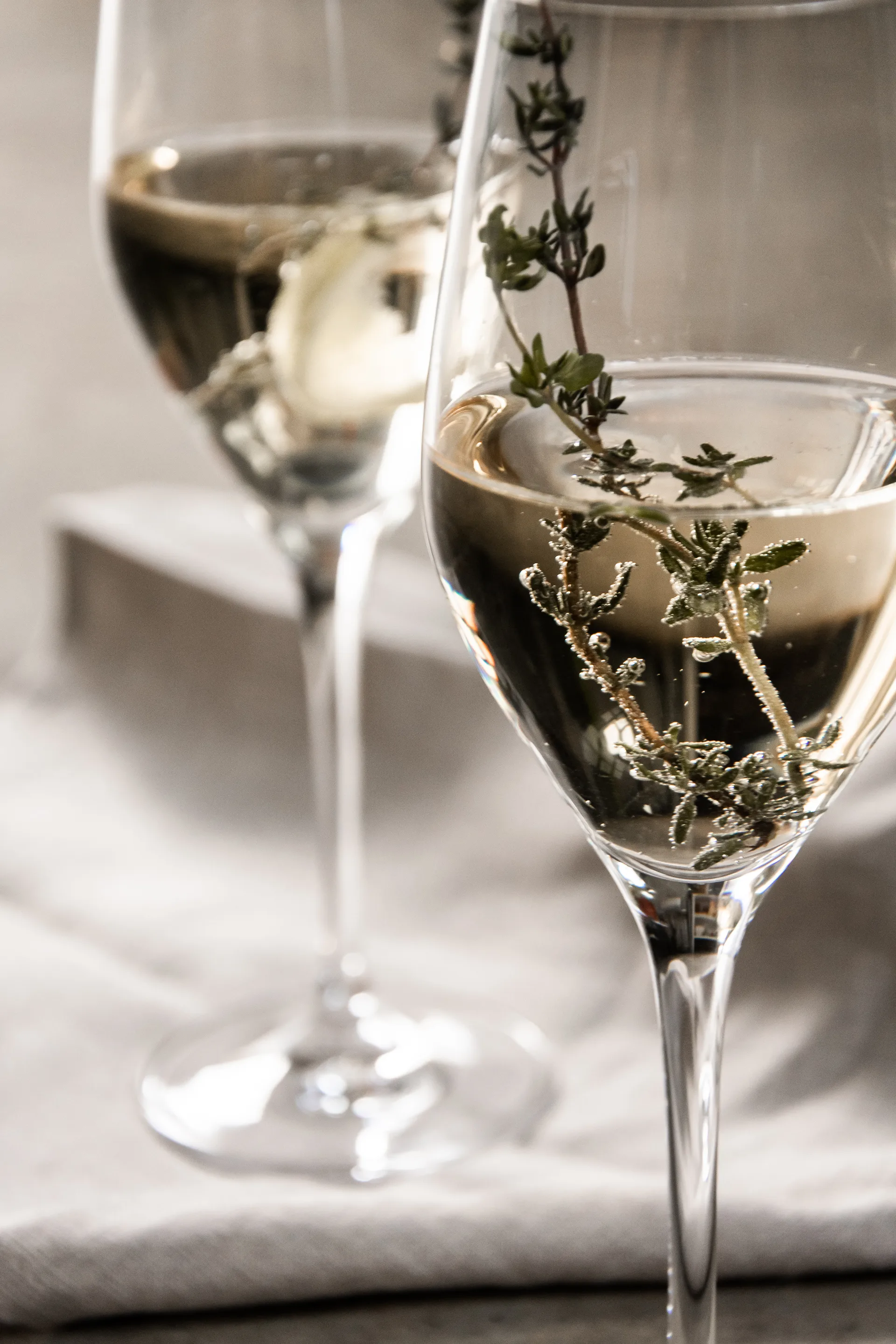 Sense Taça de champanhe 25.5 cl 6-pack, Transparente Orrefors