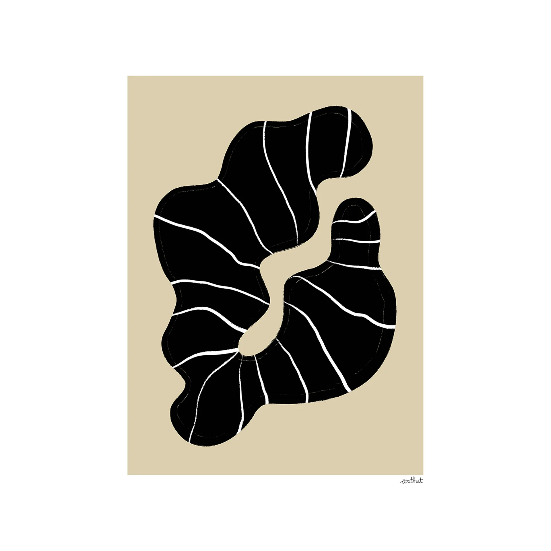 Póster Beach Find, 50x70 cm Paper Collective