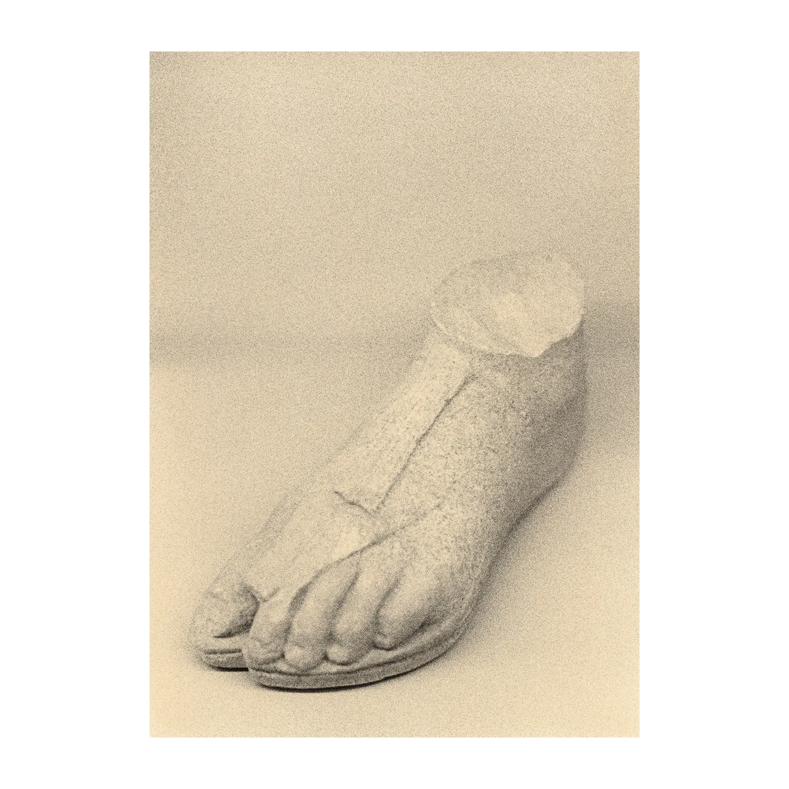 Poster The Foot, 50x70 cm Paper Collective