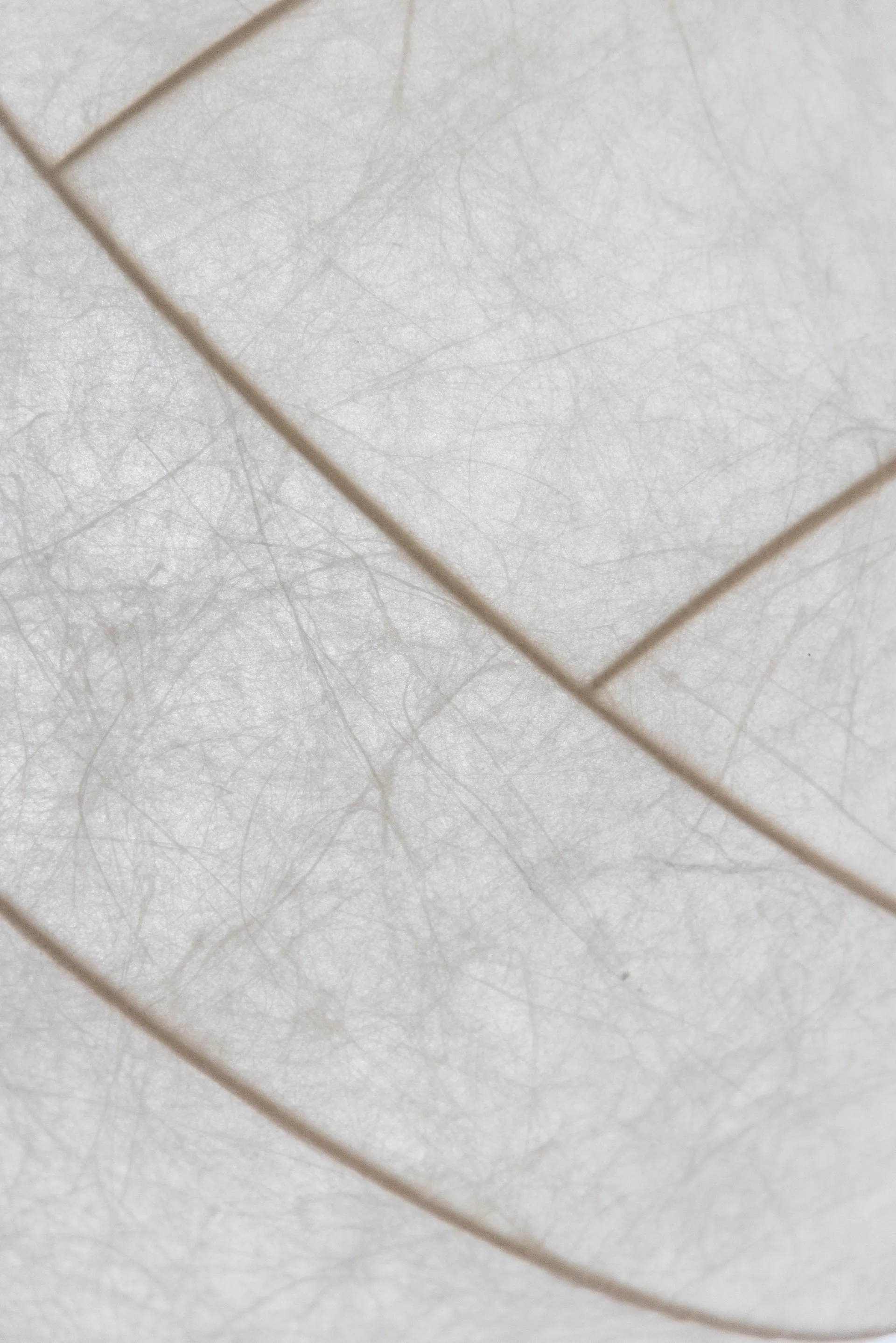 Turner 80 pendente, Branco Pholc