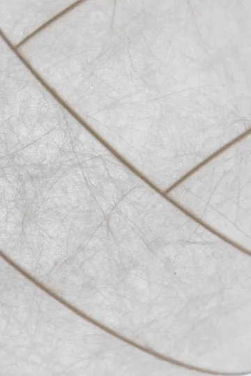 Turner 80 pendente - Branco - Pholc