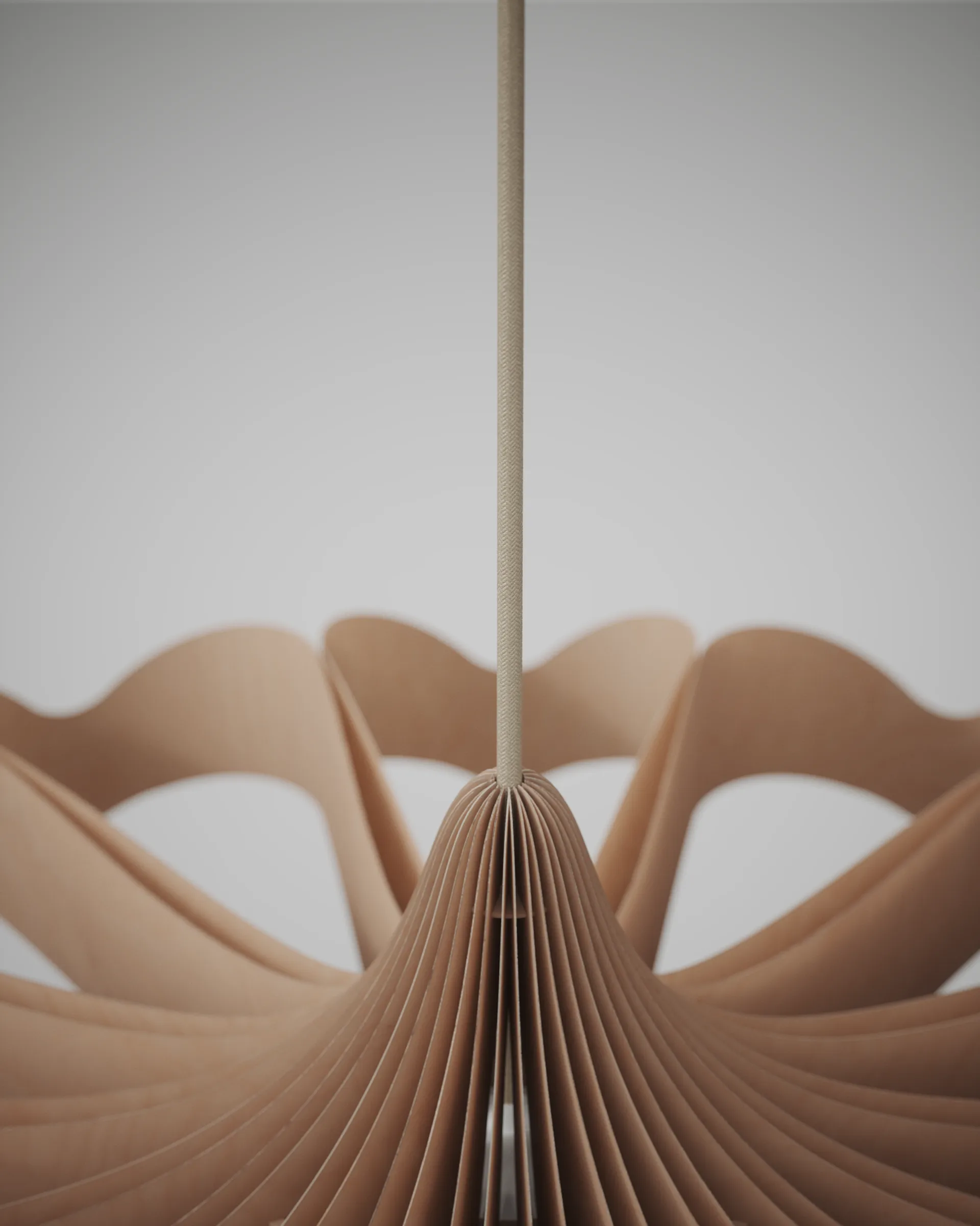 Daisy pendente, Bétula grande Pilke