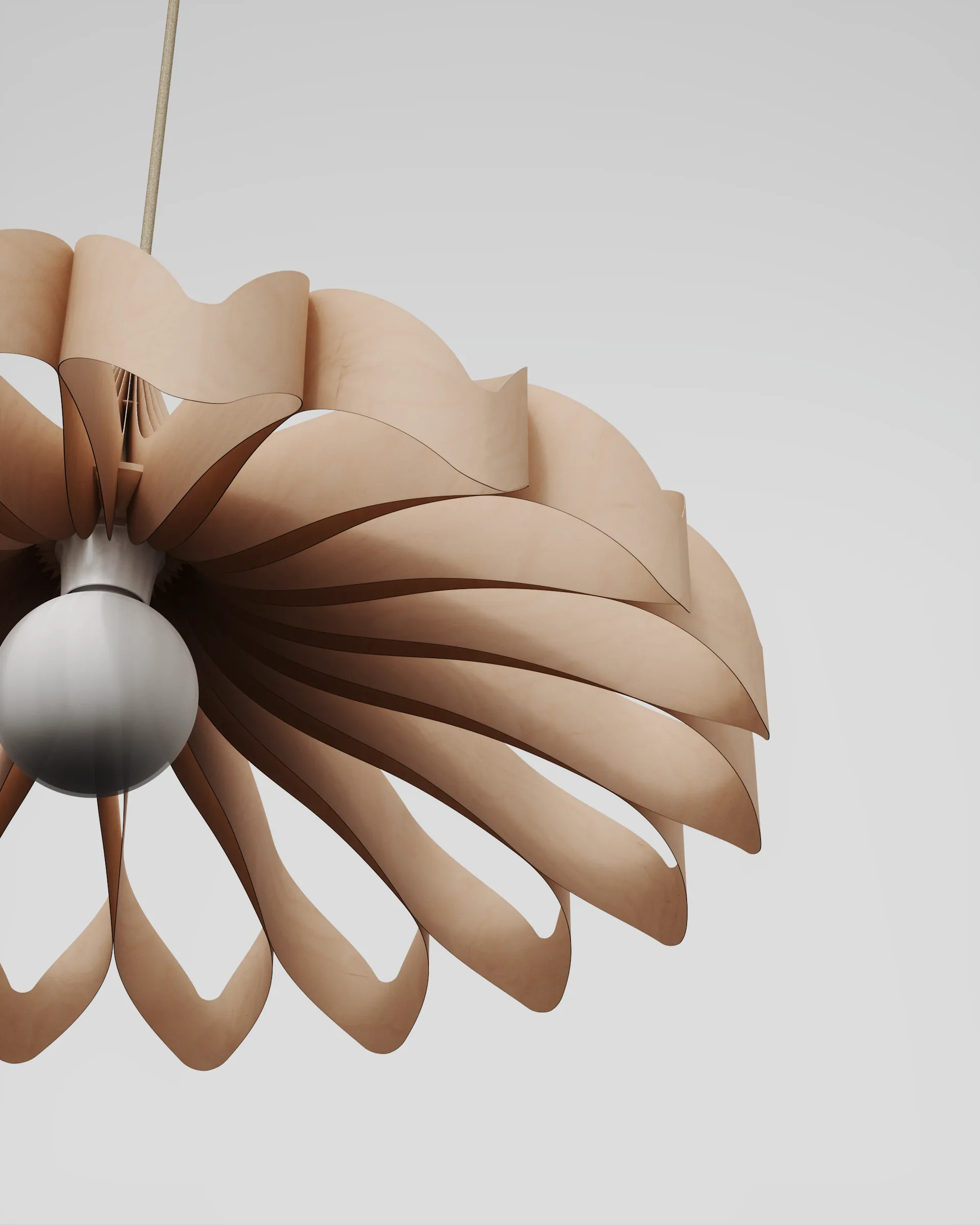 Daisy pendente, Bétula pequeno Pilke