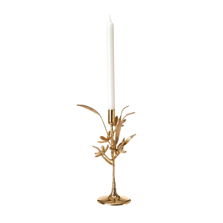 Castiçal Bergamot 31 cm, Dourado POLSPOTTEN