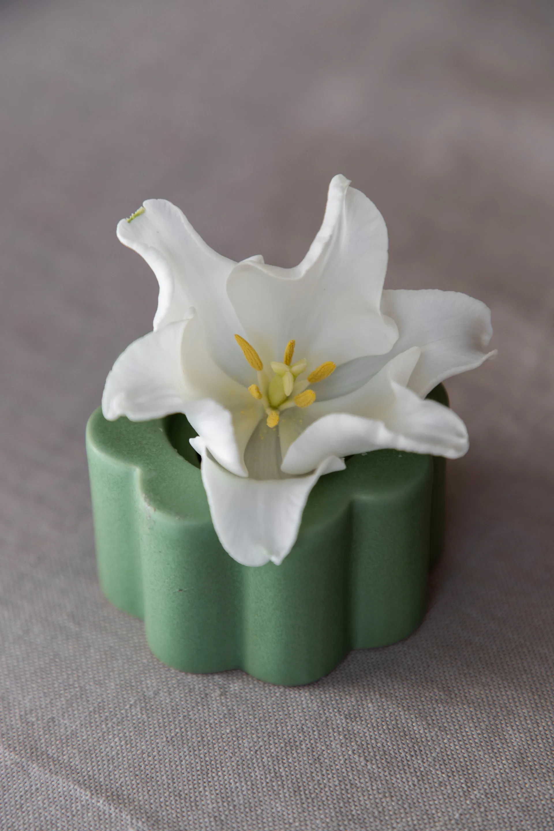 Vaso/suporte de velas Birgit 5 cm, Olive PotteryJo