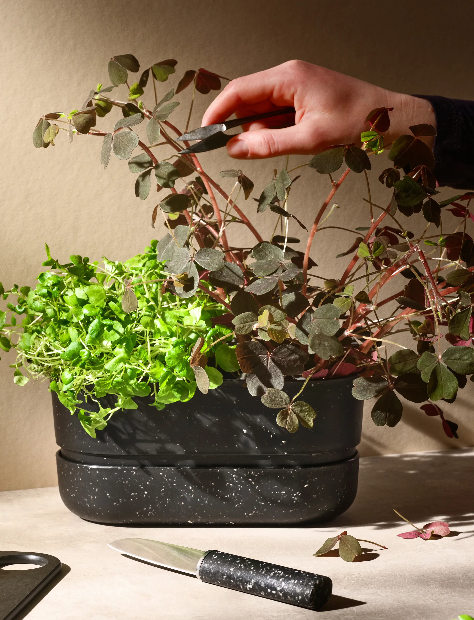 Faca de descascar REDO 18,8 cm, Black RIG-TIG