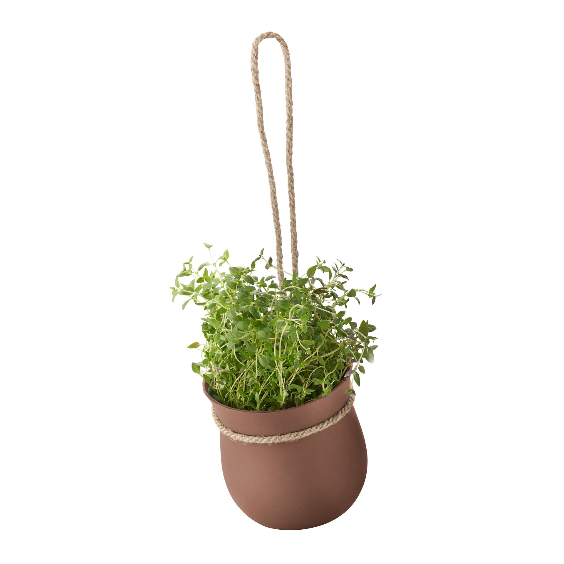 Vaso de servas Grow-It , Terracotta RIG-TIG