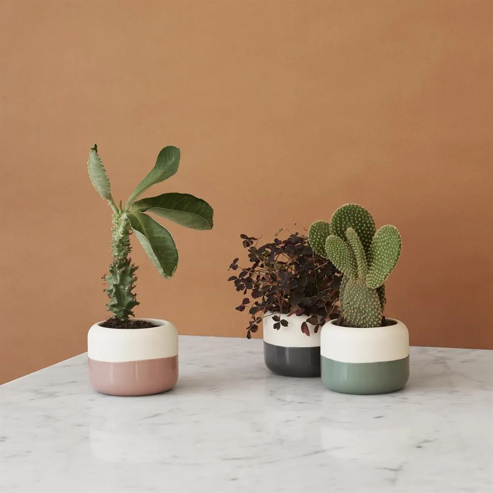 Vaso para ervas Plant-It, dusty green RIG-TIG