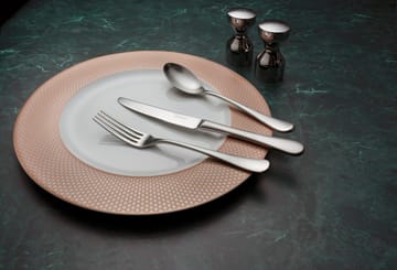 Faca de mesa mate Radford - Aço inoxidável - Robert Welch
