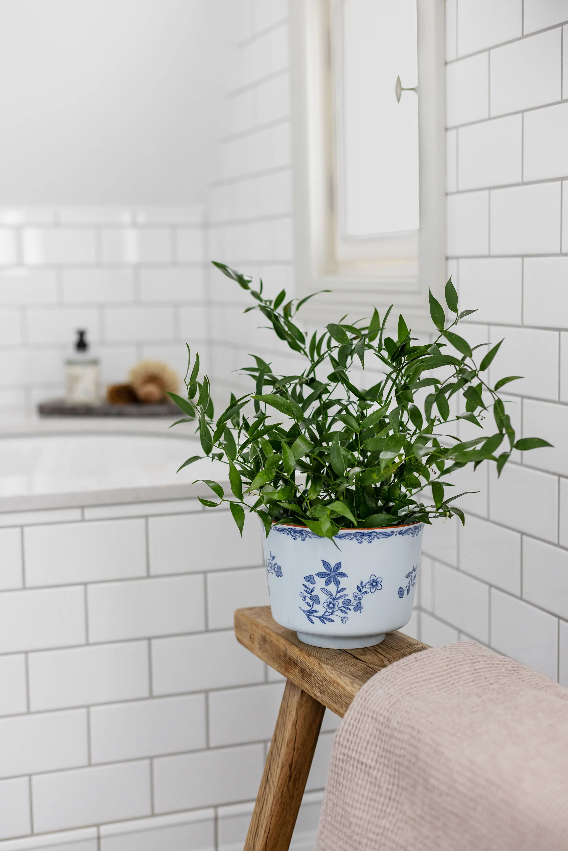 Pote Ostindia, Ø17x13 cm Rörstrand