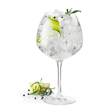 Copo de gin Premium 93 cl, 2 un. - Clear - Rosendahl
