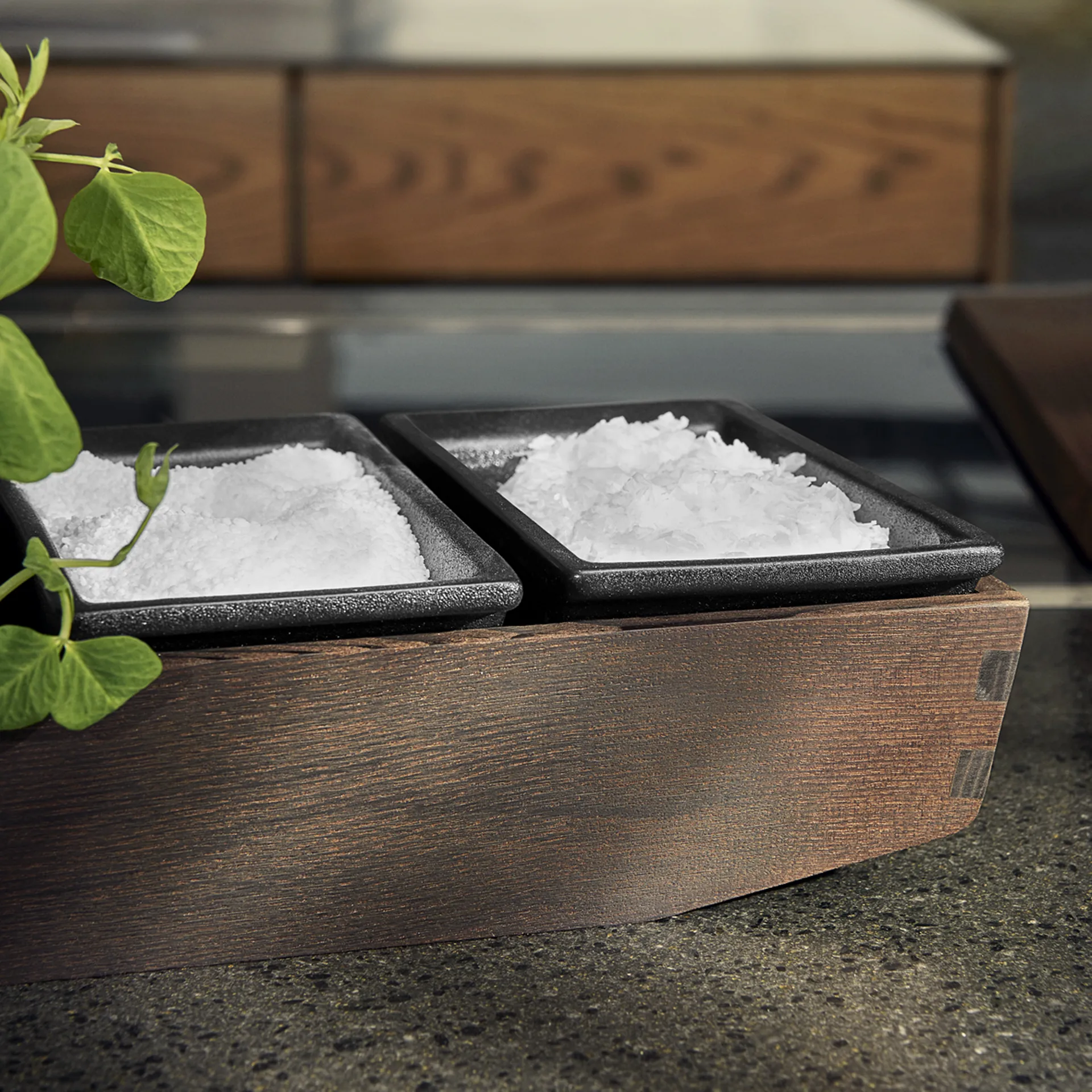 Saleiro Rå 6,5 cm , Preto Rosendahl