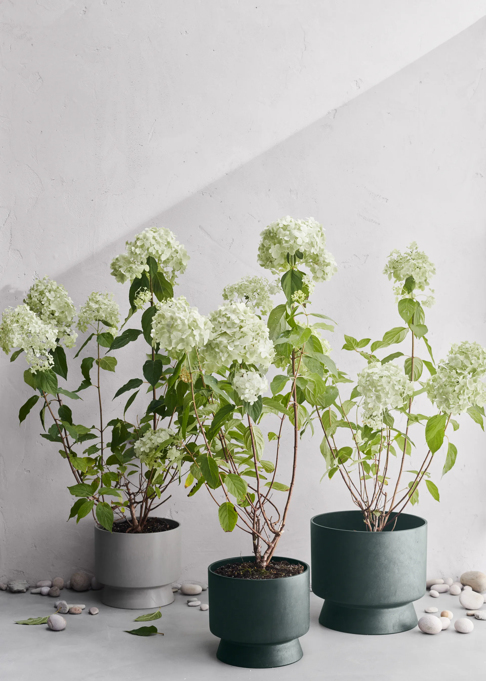 Vaso de flores Ro Ø30 cm, Dark green Rosendahl