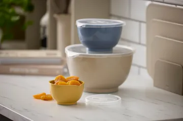 NOVO conjunto de taças Margrethe - 6 peças - Rosti