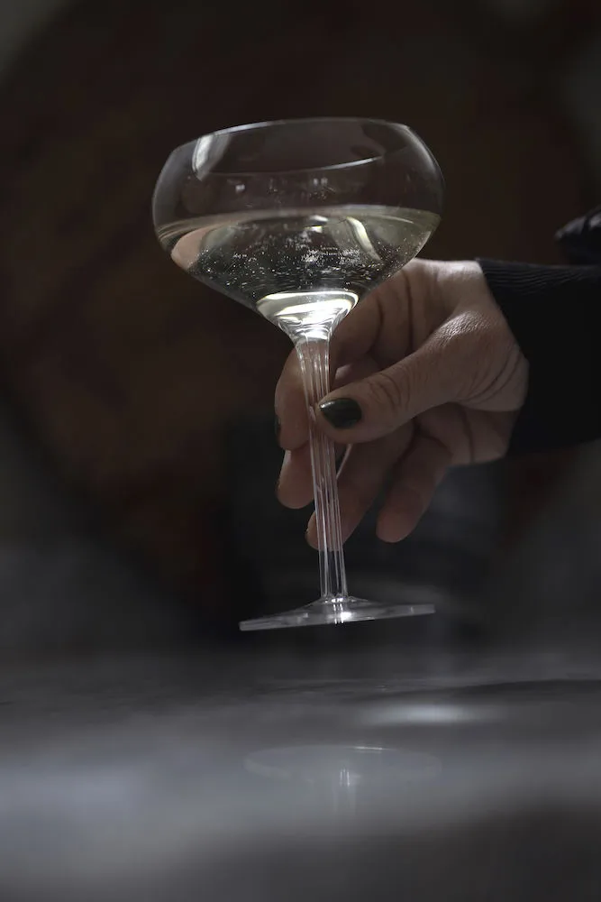 Copo de cocktail Saga, 2 un., Clear Sagaform