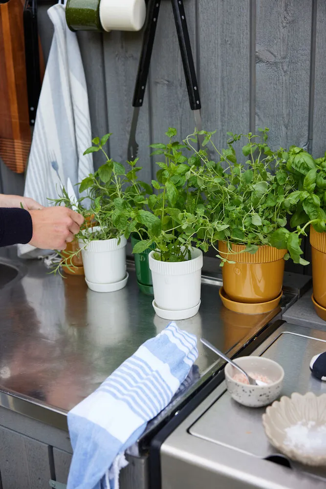 Pote para ervas Elise Ø11 cm, Branco Sagaform