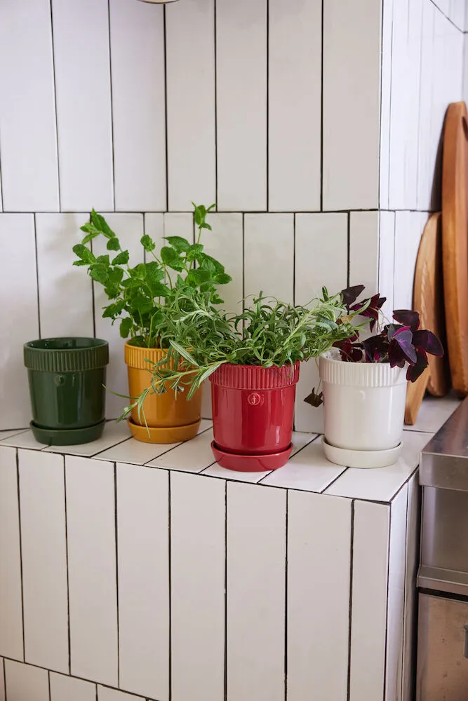 Pote para ervas Elise Ø11 cm, Vermelho vinho Sagaform