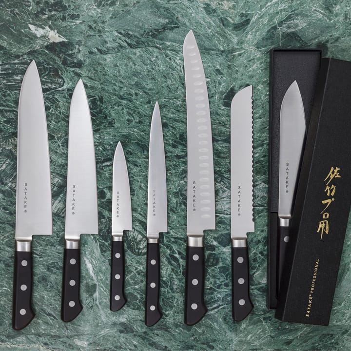 Faca de trinchar Satake Professional, 27 cm Satake