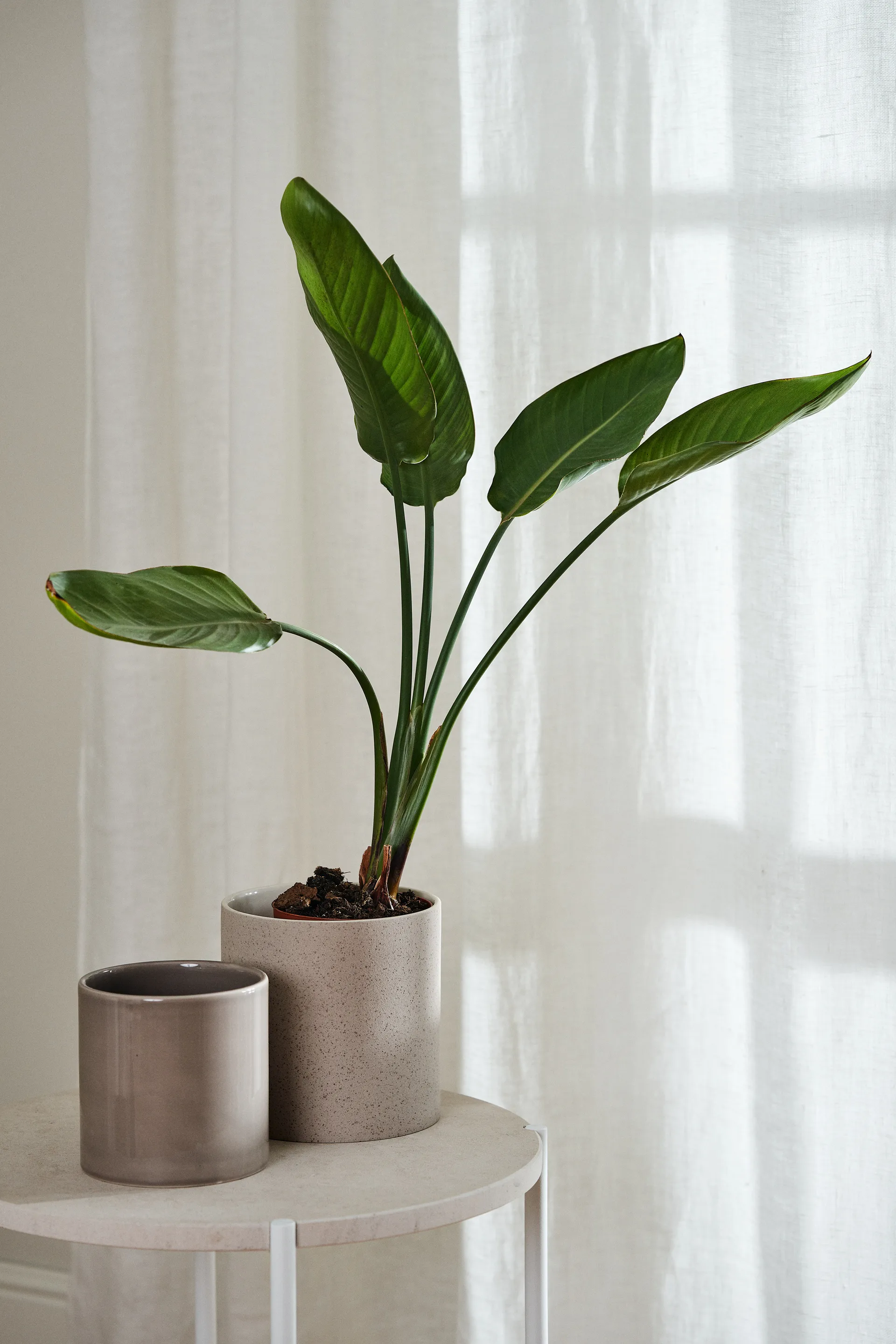 Tranquility cortina com multibanda 139x250 cm, Branco Scandi Living