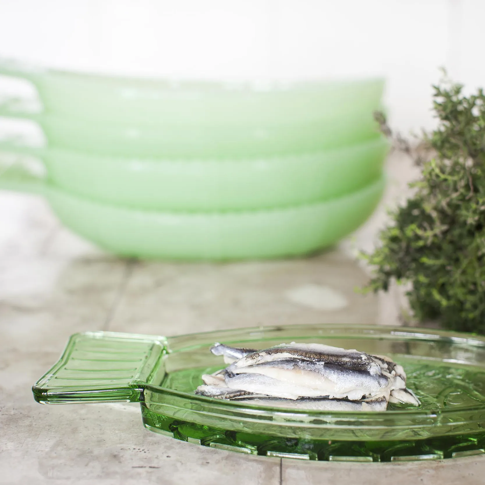 Prato Fish & Fish 10x23 cm, verde Serax