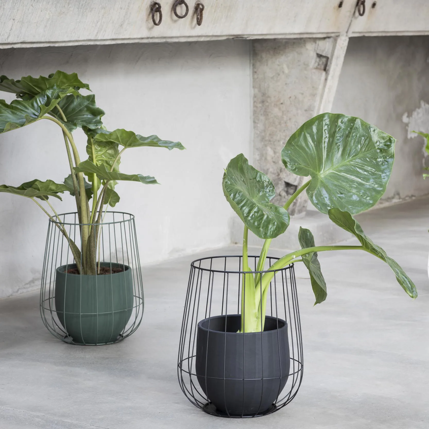 Vaso de flores em cesto Sera 37x46 cm, preto Serax