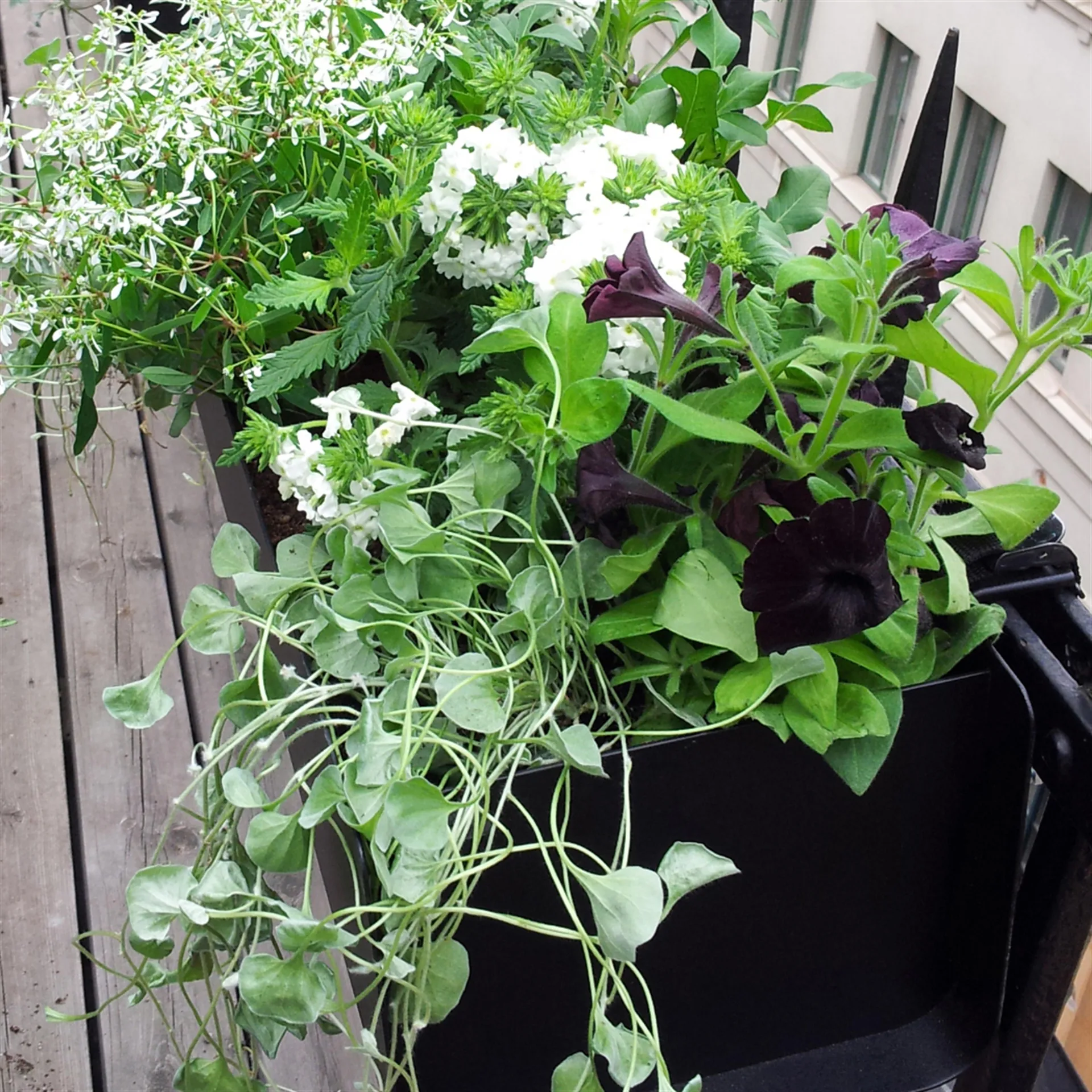 Caixa de varanda Jorda, Preto 100 cm SMD Design