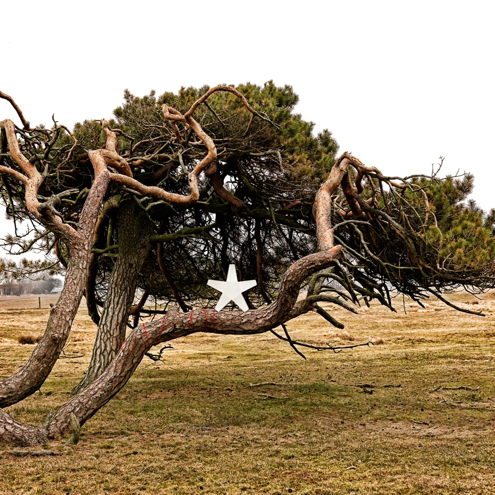 Estrela de Advento, Cinzento 40 cm, cabo de tecido cinzento claro SMD Design