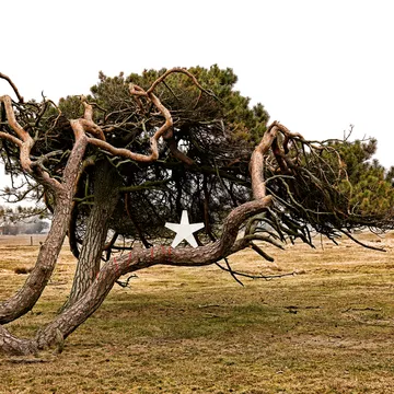 Estrela de Advento - Cinzento 40 cm, cabo de tecido cinzento claro - SMD Design