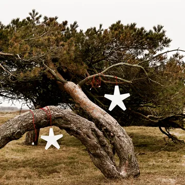 Estrela de Advento - Cinzento 40 cm, cabo de tecido cinzento claro - SMD Design