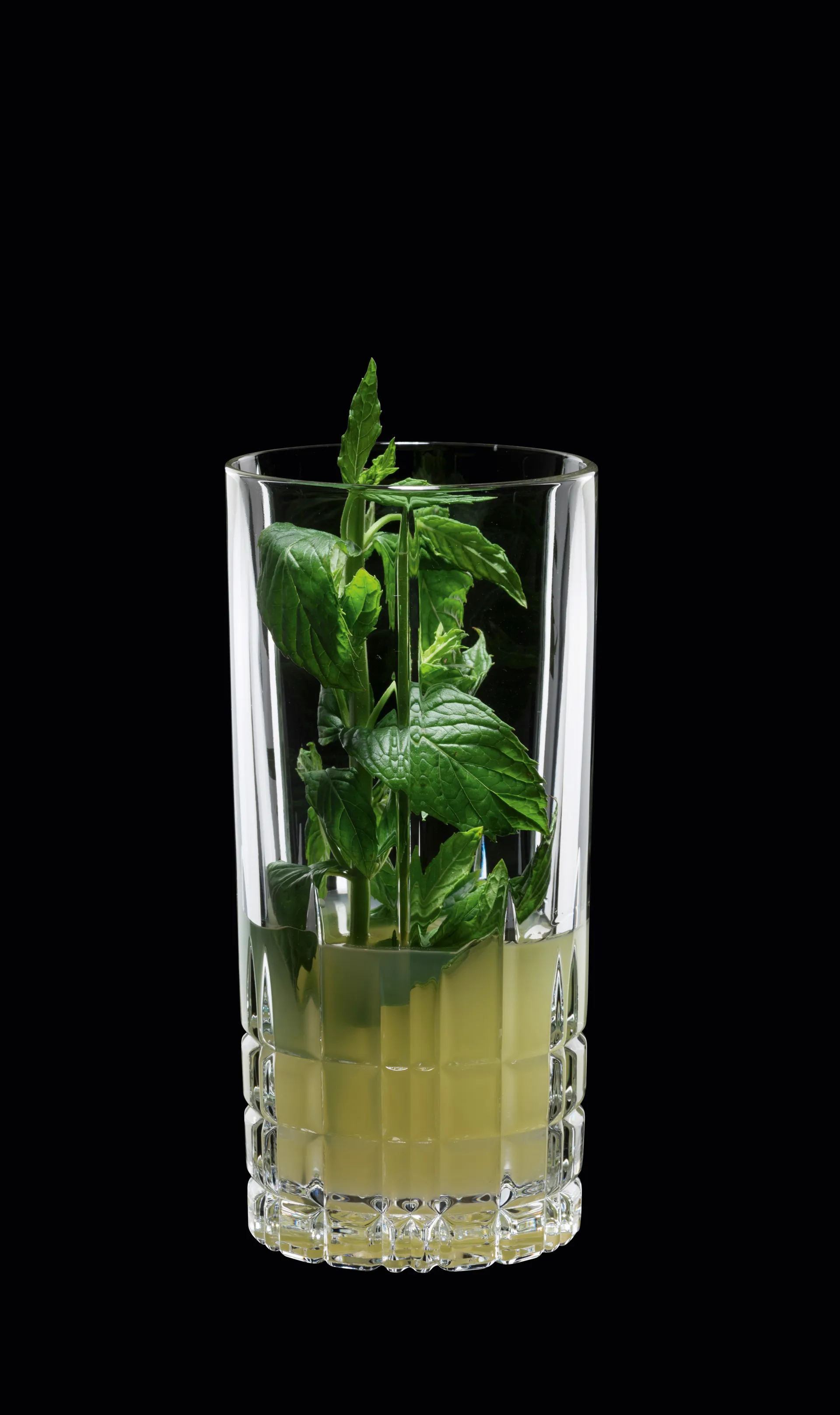 Copo longo Perfect Serve 35cl . conjunto de 4, transparente Spiegelau