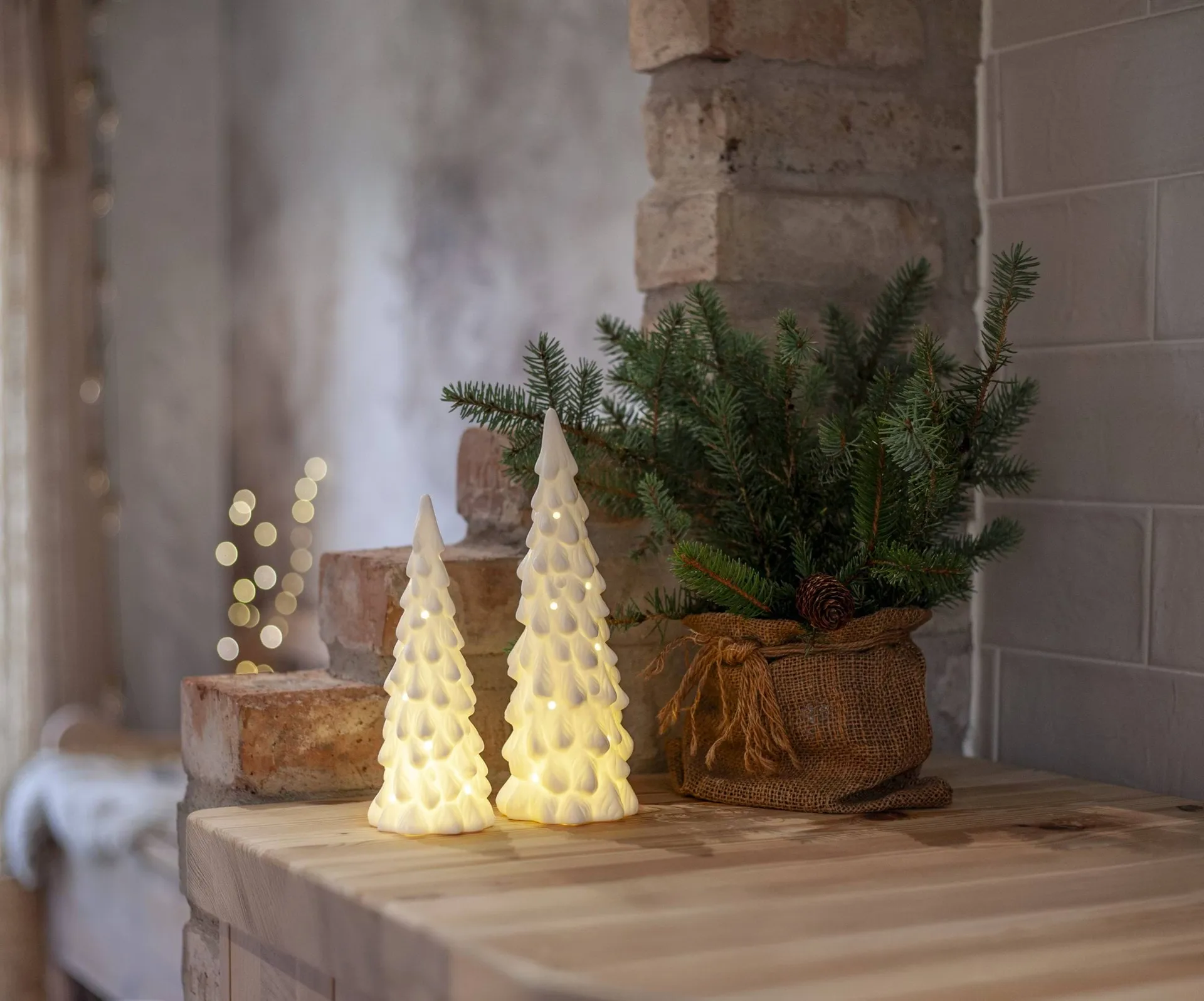 Decoração de inverno para interior, Abeto branco, 2 peças Star Trading