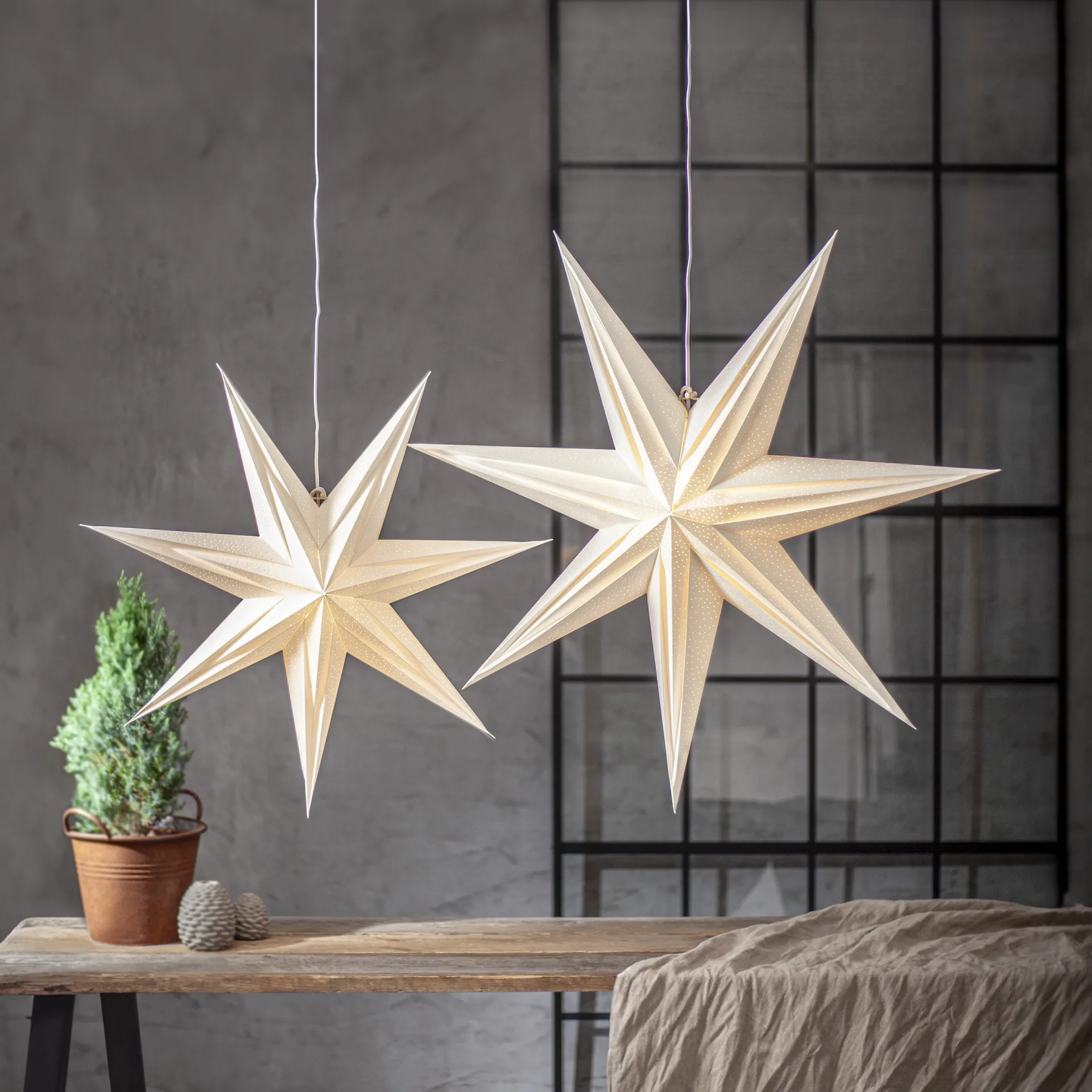 Holly estrela de papel 60 cm, Branco Star Trading