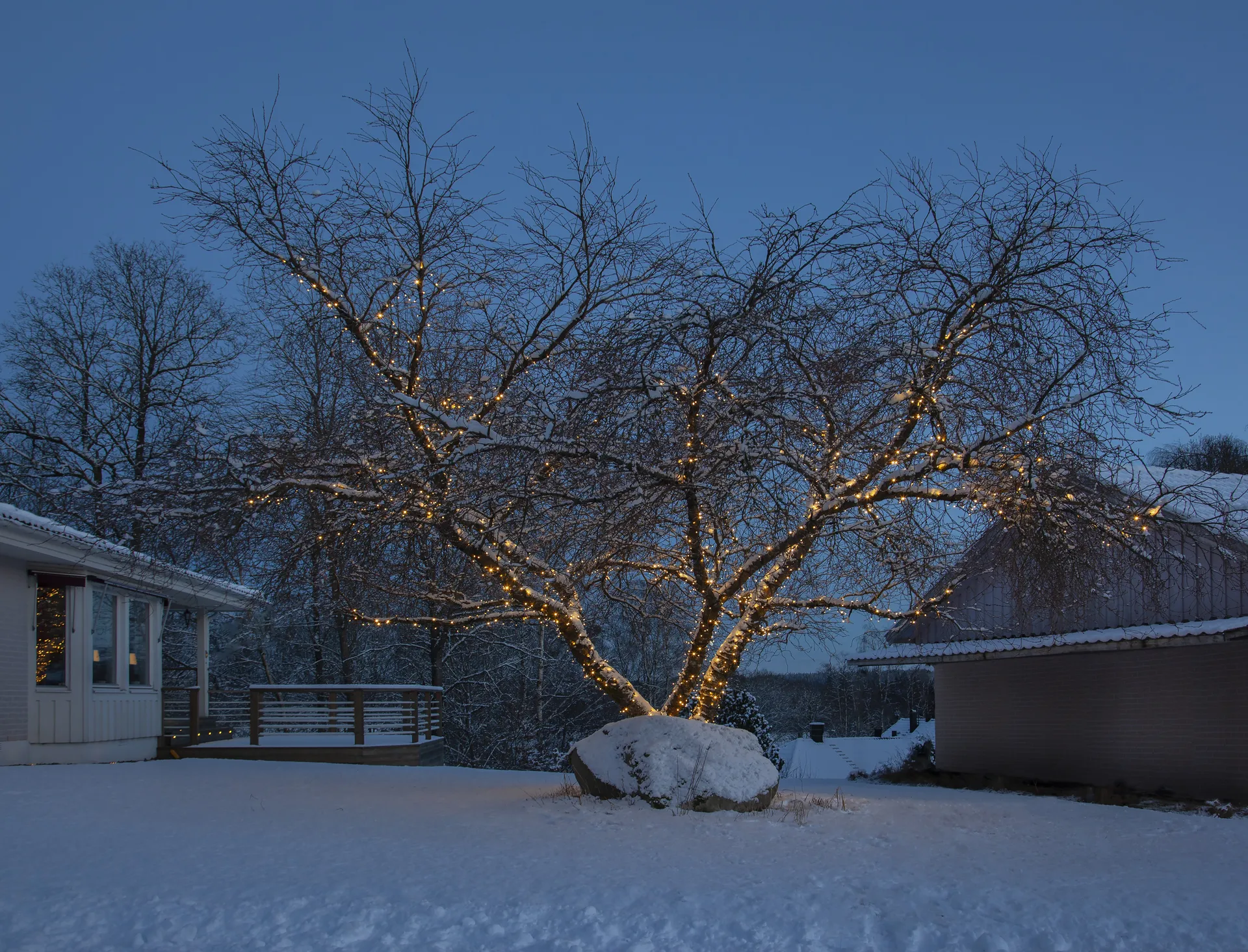 Star Trading system LED cabo de arranque, 180 cm Star Trading