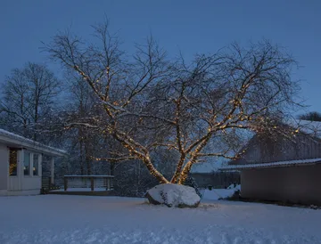 Star Trading system LED cabo de arranque - 180 cm - Star Trading