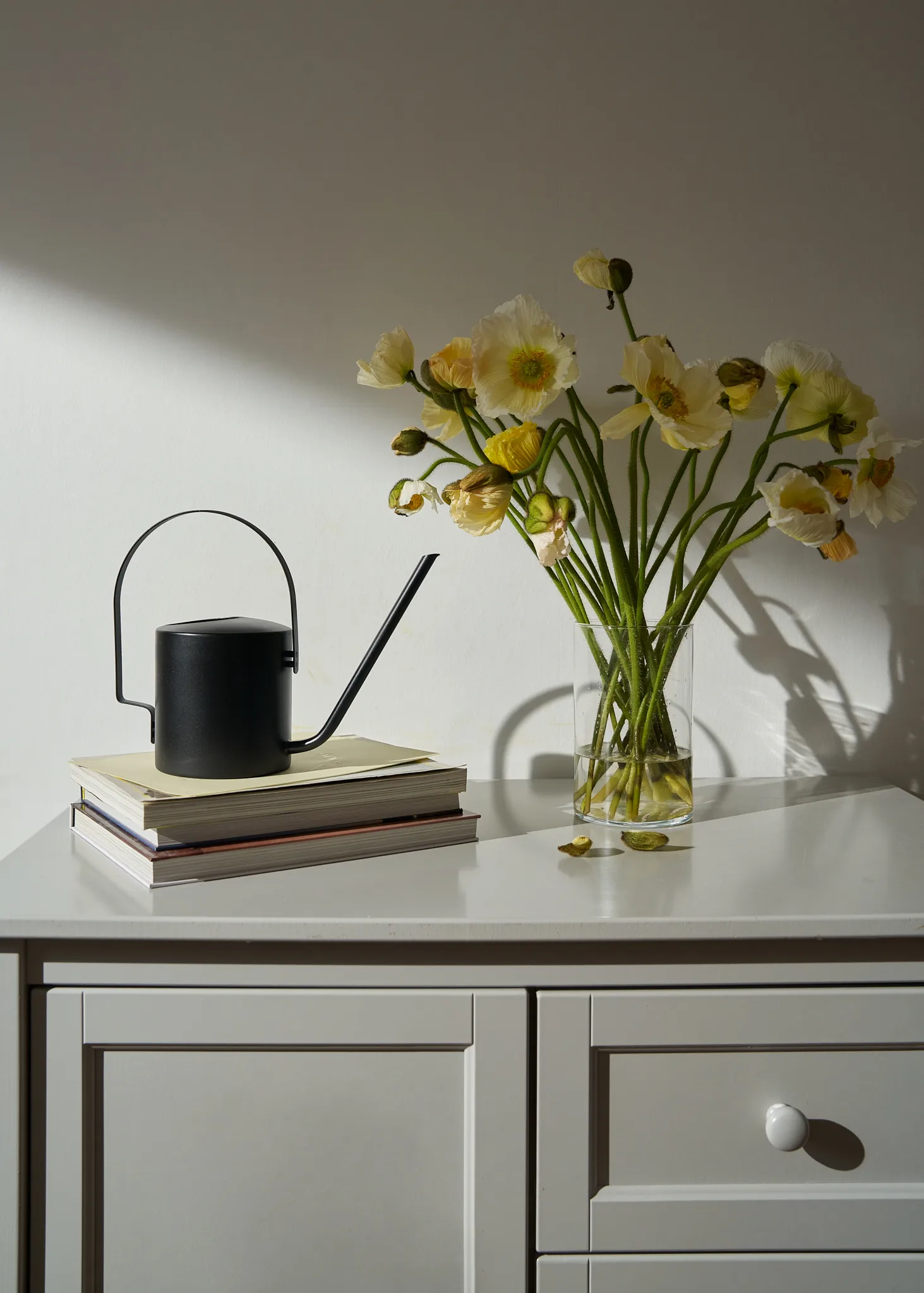 Regador Original 1,7 l, Soft black Stelton