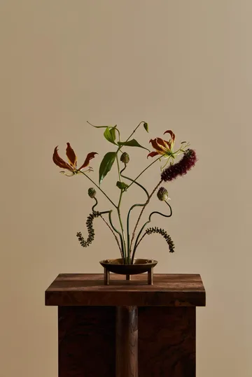 Nagel taça - latão bronzeado - STOFF Nagel
