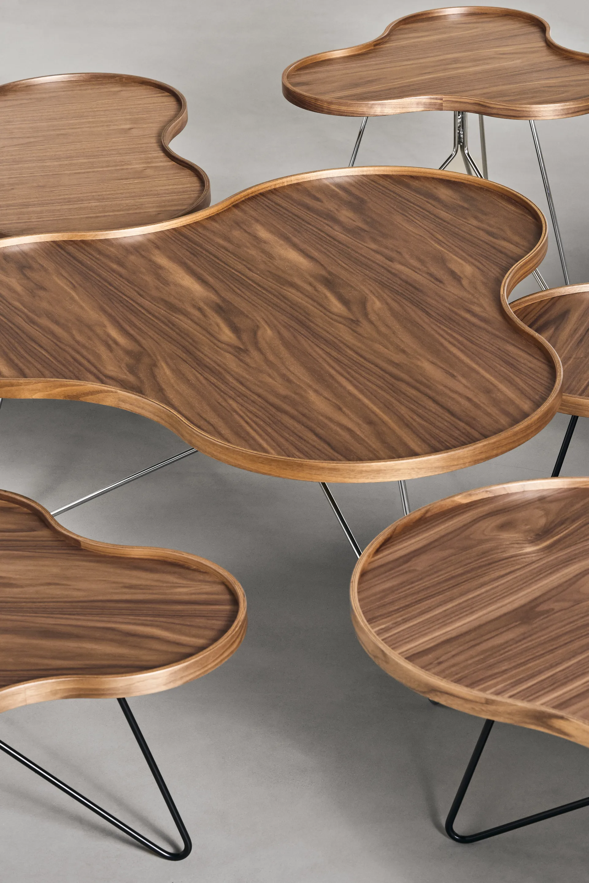 Flower mono mesa edição especial 62x66 cm, H45 cm-nogueira lacada- aço cromado Swedese