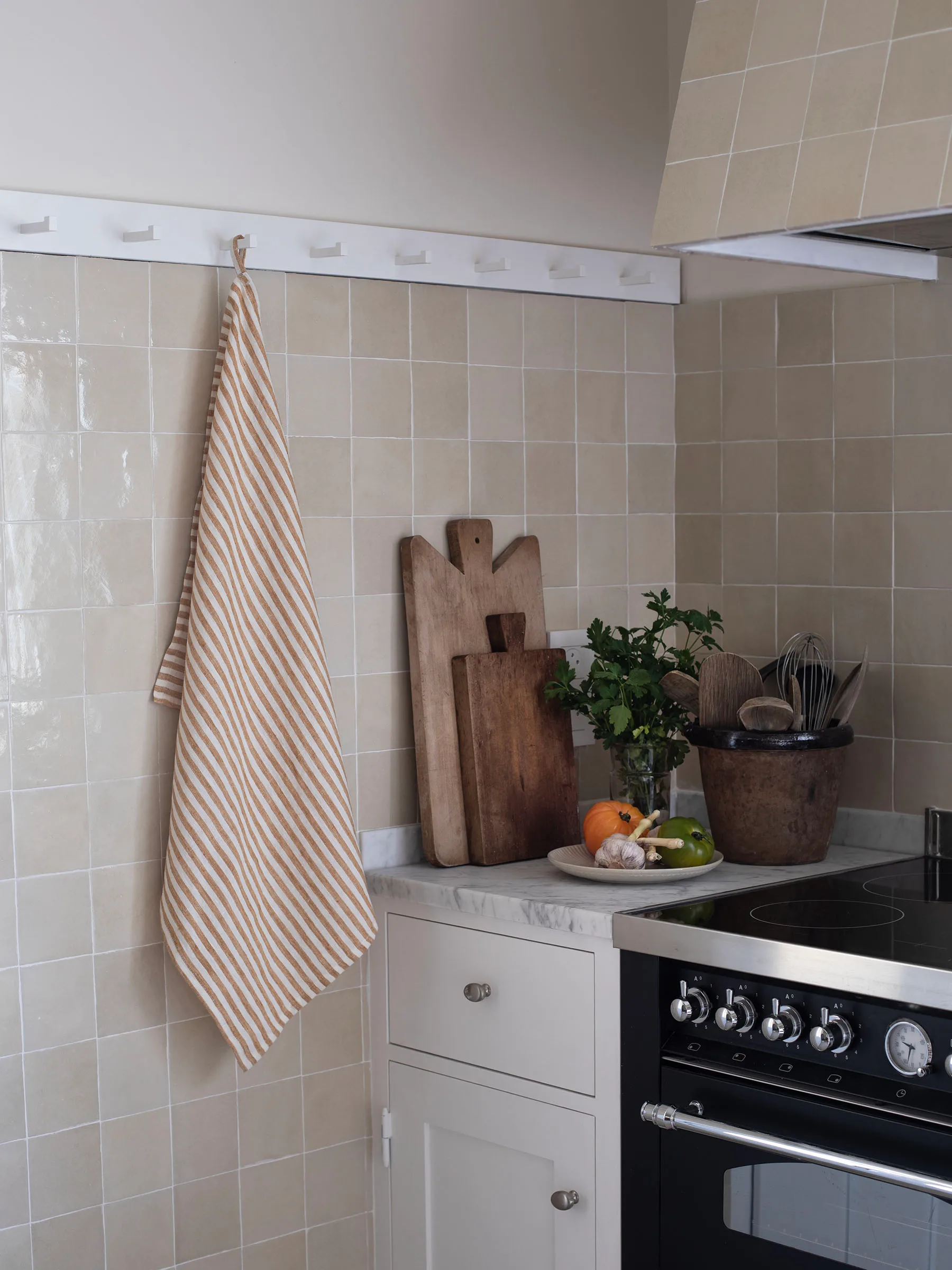 Pano de cozinha Leon 50x70 cm, Spice Tell Me More