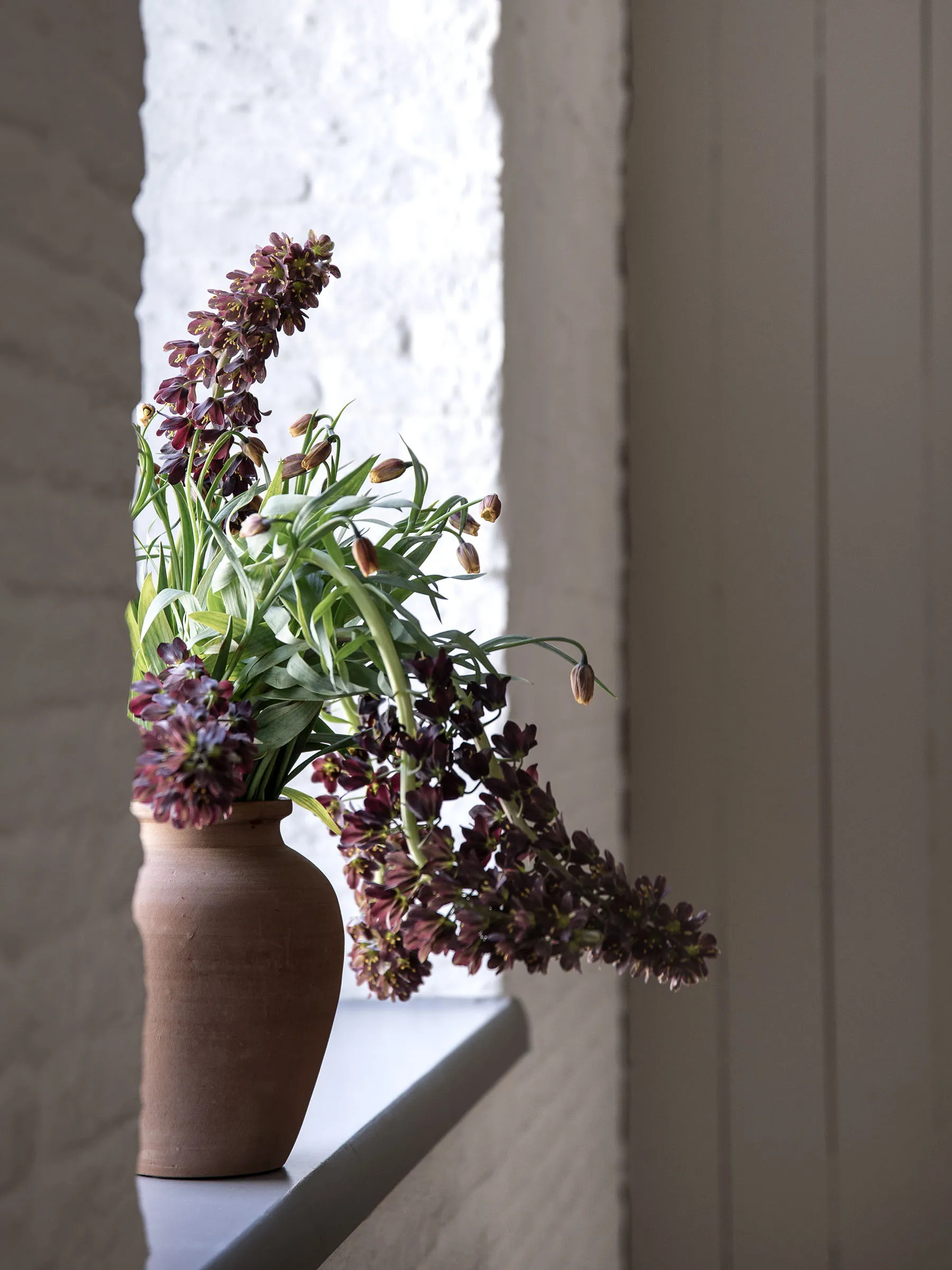 Vaso Terracina médio 26 cm, Terracota Tell Me More