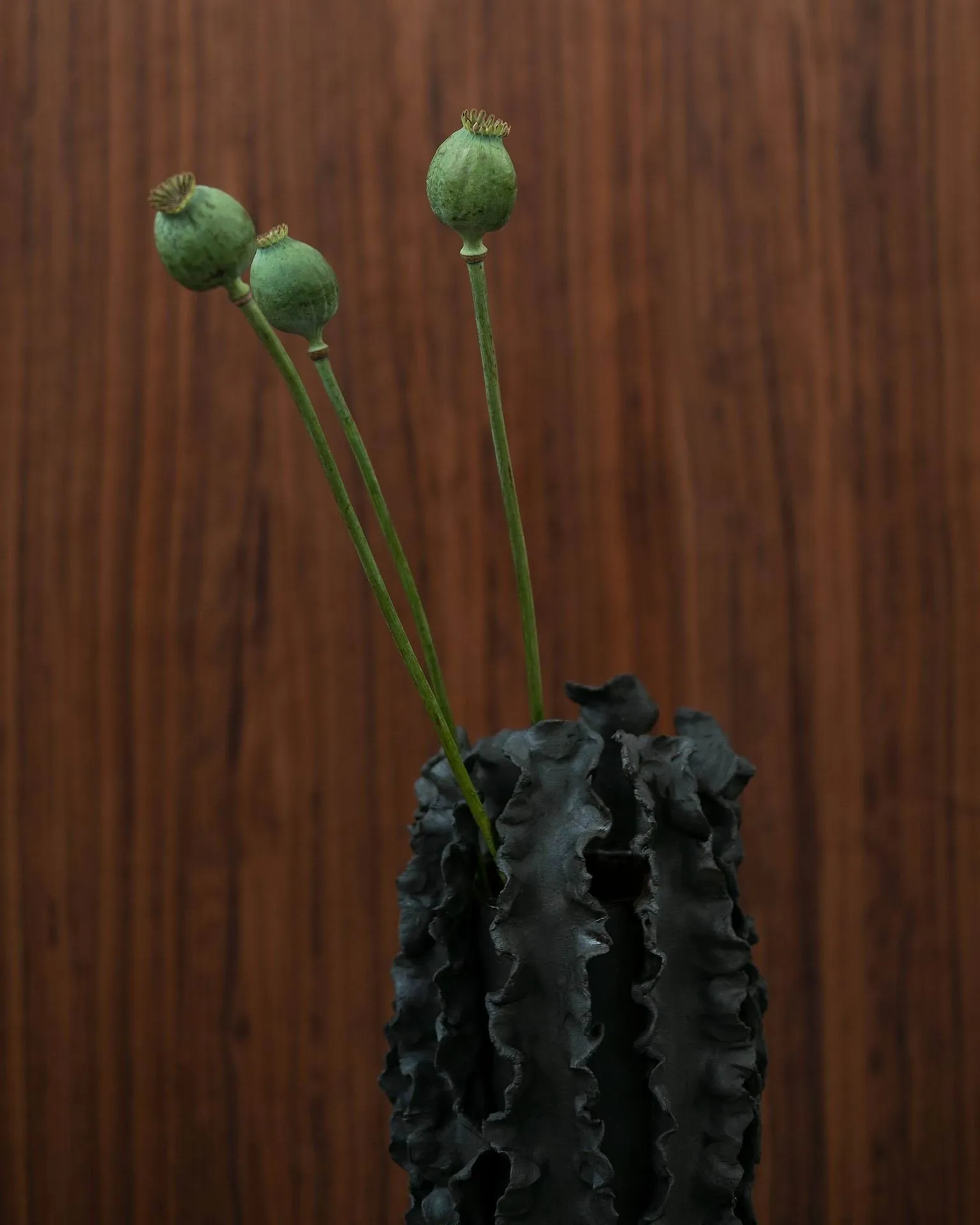Melera vaso, Preto, 33x16 cm Tinted