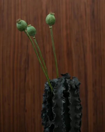 Melera vaso - Preto, 33x16 cm - Tinted