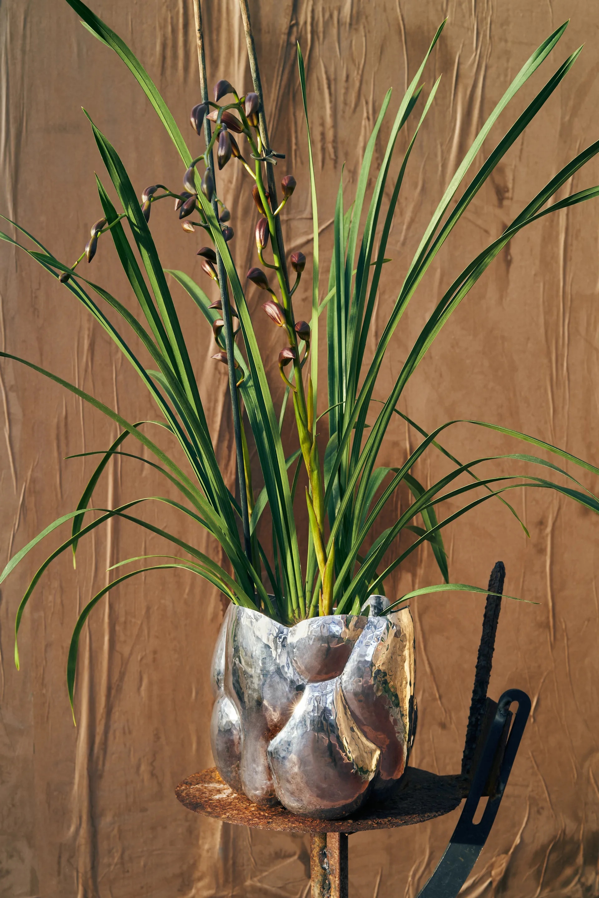 Cloud vaso baixo, Prateado Tom Dixon