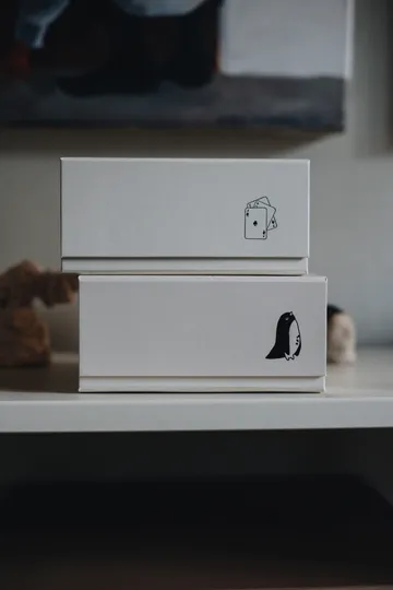 Pac box caixa de armazenamento - TÔNN x MAJASBOK Off-white, 2-unidades - TÔNN furniture