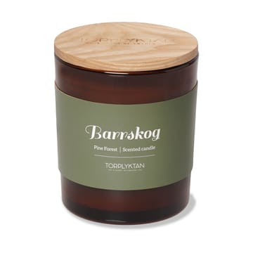 Northern woods vela perfumada 310 g - Pine Forest - Torplyktan